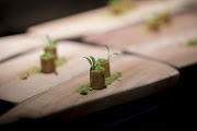 Servings of 'goat brain' sits on a tray in the kitchen of Gaggan restaurant in Bangkok, Thailand. (File photo.)