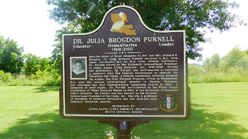 Educator - Humanitarian - Leader  (1916-2013)     Born the eldest of three daughters to Rev. and Mrs. Richard E. Brogdon, Dr. Julia Brogdon Purnell received a B.A. from Allen University and an...