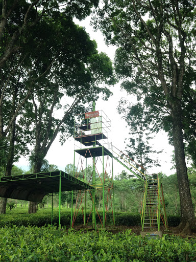 flying fox tower