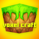 Voxel Craft : Castle Build PE Apk