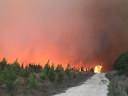 Efforts are in full swing to suppress the wildfires in the Tsitsikamma.