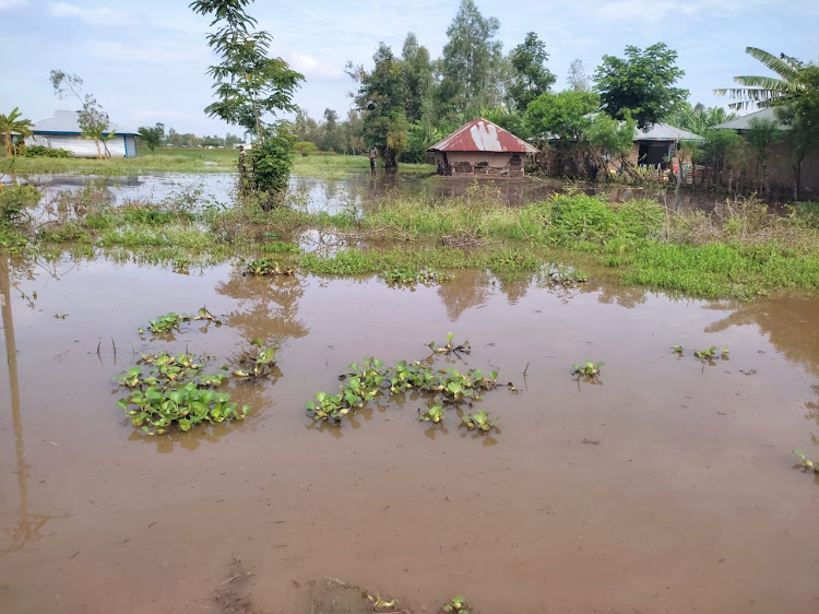 Floods wreck havoc in Nyando Sub County as families displaced and crops destroyed