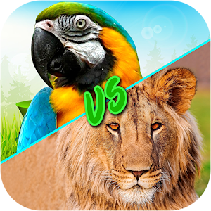 Download Birds Vs Animals For PC Windows and Mac