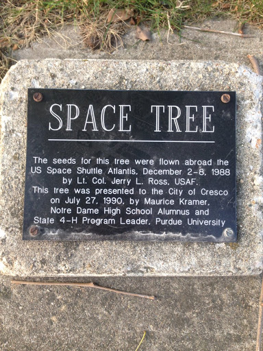 SPACE TREE  The seed for this tree were flown abroad the US Space Shuttle Atlantis, December 2-8, 1988 by Lt. Col. Jerry L. Ross, USAF. The tree was presented to the City of Cresco on July...
