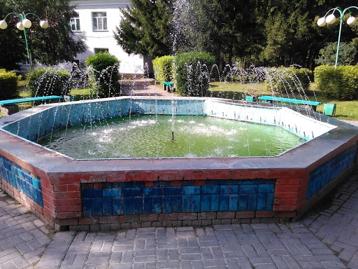 Fountain Toguchin