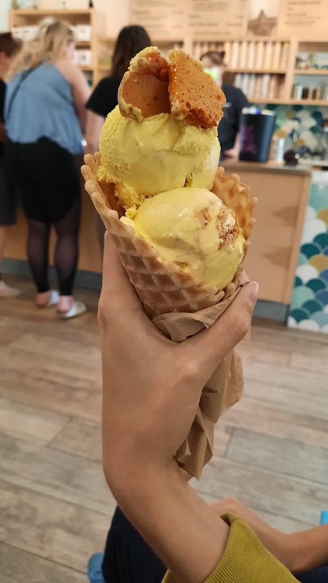 Tumeric honeycomb with GF cone