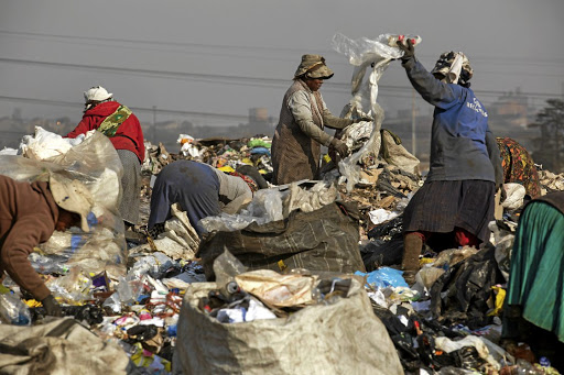 Wastepickers. Picture: SUPPLIED