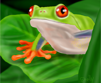 Tree Frog