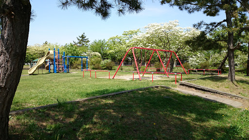 Namioka synthesis park Playground equipment