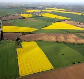 How to get land lastet apk for laptop