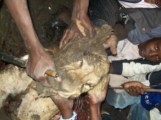 Residents of Nkamuriaki in Kajiado examine one of the two lions that had allegedly eaten livestock. Photo/File