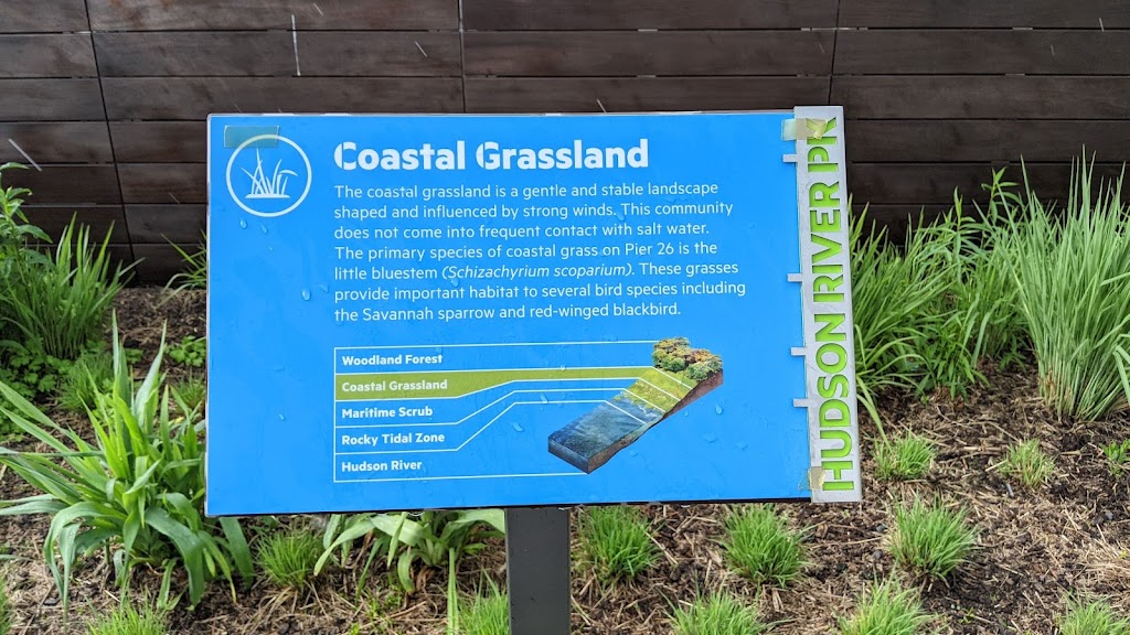 Coastal Grassland   The coastal grassland is a gentle and stable landscape shaped and influenced by strong winds. This community does not come into frequent contact with salt water. The primary ...