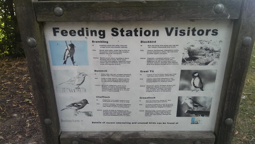 Feeding Station