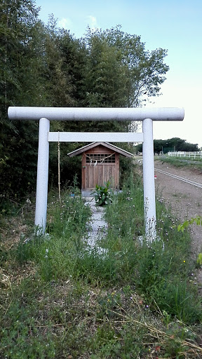 名も無く神社鳥居（石田公園近く）