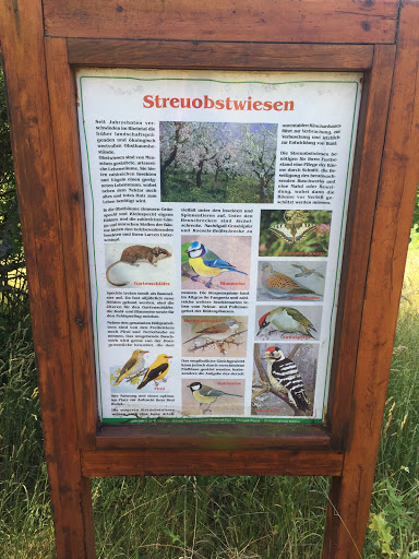 Streuobstwiesen