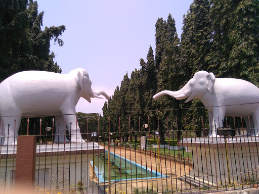 Elephant Fountain