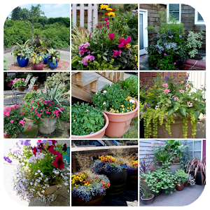 Download Container Gardening For PC Windows and Mac