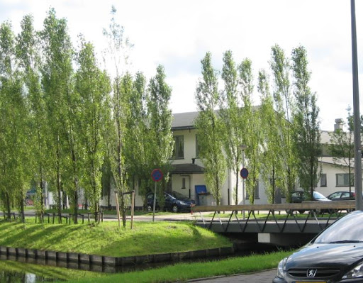 Witte Huis