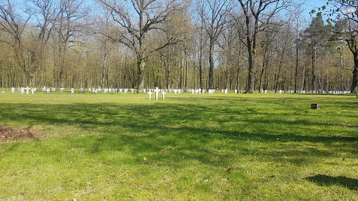 Kaunas WW soldiers cemetery / 