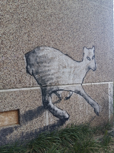 Animal On The Wall
