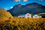 The new shuttle service will run from Greenmarket Square to Cape Point and Franschhoek (pictured).
