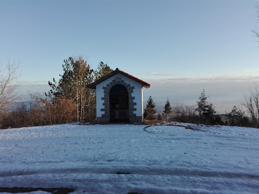 Madonnina Del Johannis