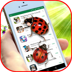 Download Ladybug on Screen For PC Windows and Mac
