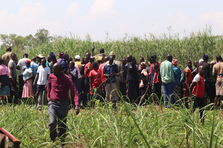 Residents near thicket of River Kuja in North Kabuoch, Ndhiwa constituency on February 1, 2024