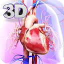 ダウンロード Circulatory System Anatomy をインストールする 最新 APK ダウンローダ