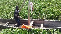 Boat stuck in water hyacinth in Lake Victoria. Pollution, especially nitrogen-containing waste, causes the hyacinth to spread.