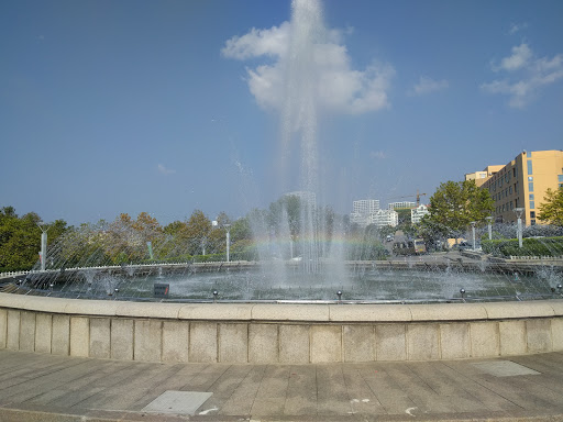 青大喷泉