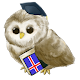 Download Learn Icelandic Free For PC Windows and Mac 1.0