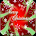 Happy Christmas Photo Frames