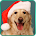 Weihnachten Hunde LWP HD