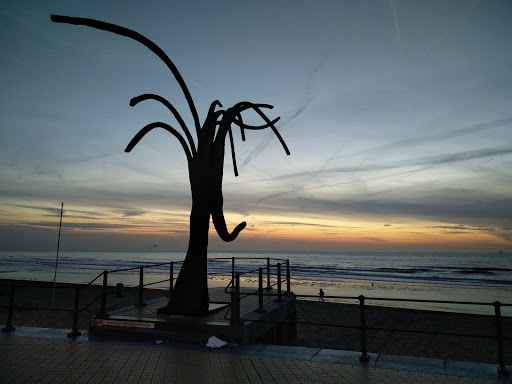 'Dansende golven' in Oostende