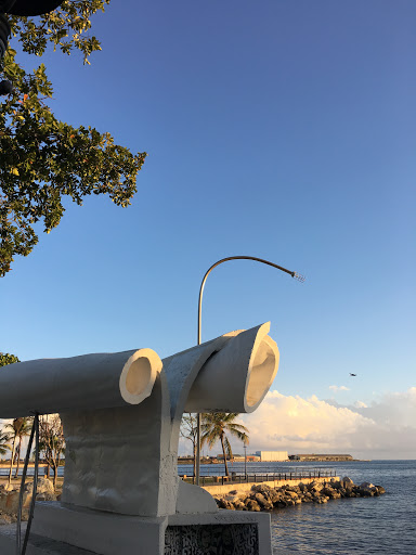 Papiro en la Playa