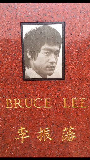 The Founder Bruce Lee