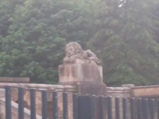 Sleepin Lion Hamilton Mausoleu