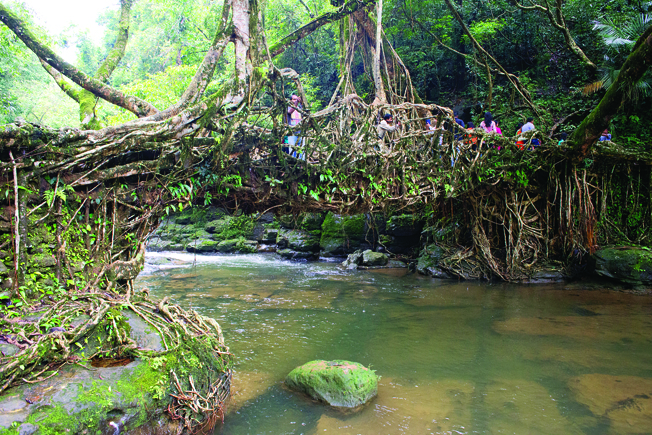 A tussle over Meghalaya’s heritage root bridges