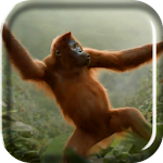 Wild Dance Crazy Monkey LWP Apk