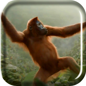 Wild Dance Crazy Monkey LWP For PC (Windows & MAC)