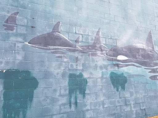 Killer Whale mural, Steveston