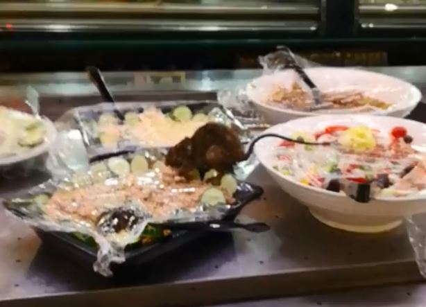 A rat is seen tearing into a salad at Food Lovers Market.