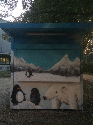 Eisbär & Pinguine