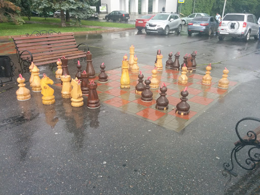Шахматное Поле