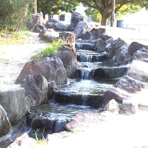 柿田公園 湧水