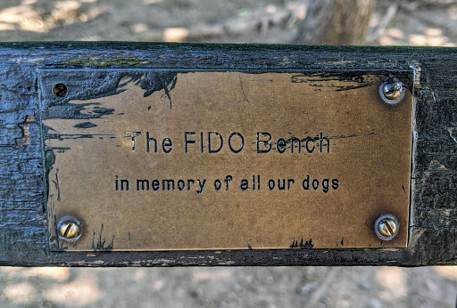 The FIDO Bench in memory of all our dogsSubmitted by @lampbane