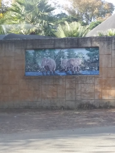 Elephants Mural