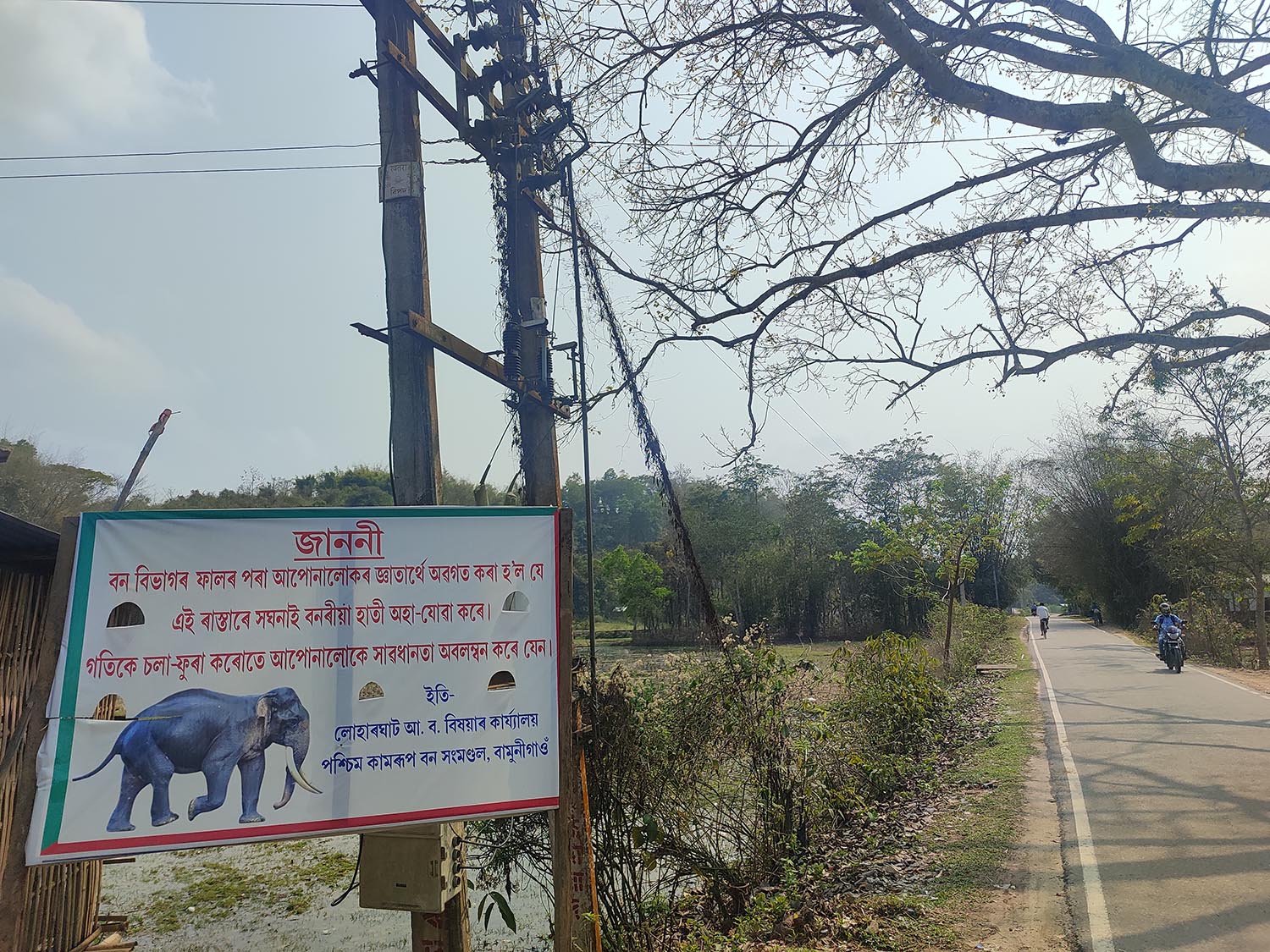 Elephants pay locals in Assam’s south Kamrup unwanted surprise visits 