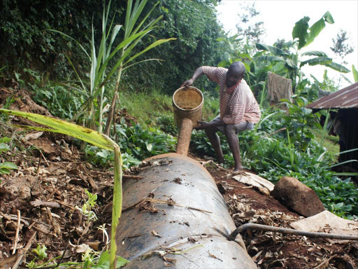 A farmer in Othaya, Nyeri County testing their biogas digester. /FILE